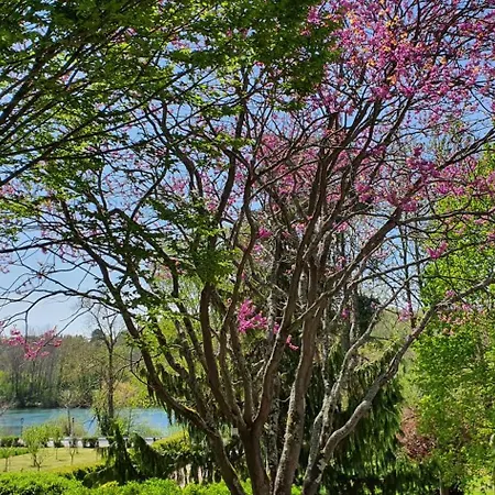 公寓 Flat Boissise-la-Bertrand