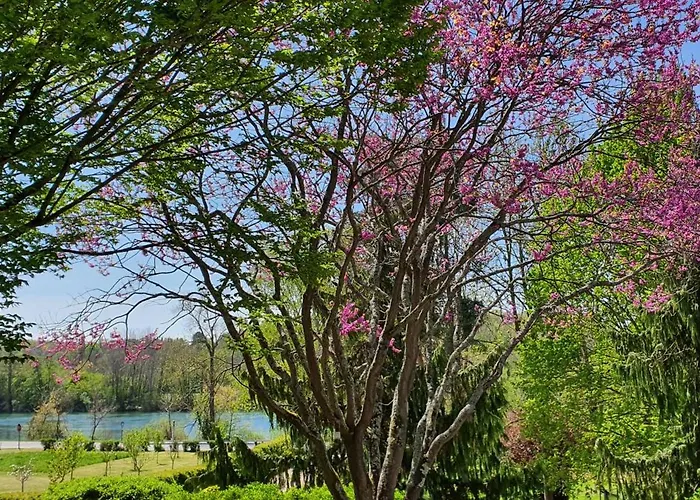 Apartamento Flat Boissise-la-Bertrand